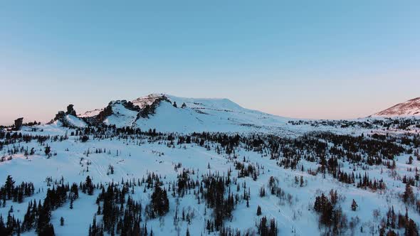 Snowy Mountains with Pine Tree Forest Against Blue Sky