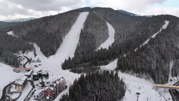 Aerial Ski Slopes with Skiers on Ski Resort. Snowy Mountain Fir Forest. Bukovel