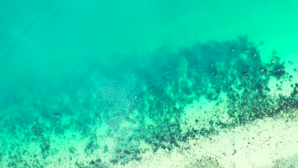 Beautiful birds eye abstract shot of a paradise sunny white sand beach and blue water background in 