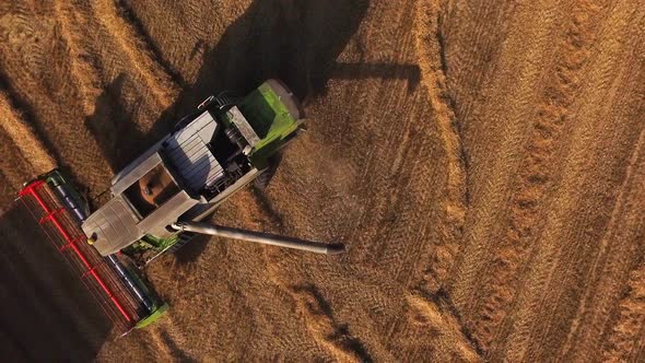 Aerial View of a Combine Harvester Unloading Grain Into a Tractor Trailer at Sunset