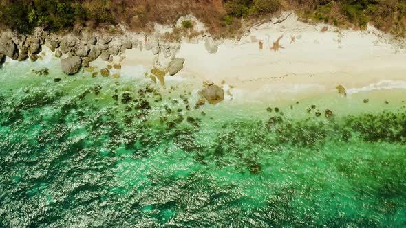 Tropical Beach and Blue Clear Sea alt