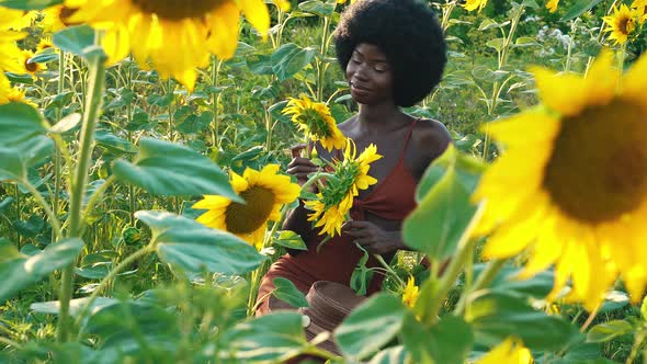 Farmers in a beautiful sunflower field