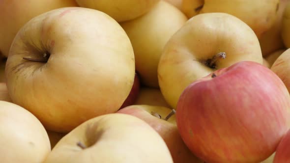 Slow tilt over organic fresh  apple pile close-up 4K 2160p UHD footage - Background made of Malus pu