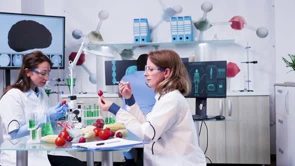 Female Researcher Injecting GMO Samples in Strawberries