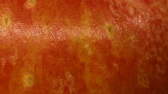 Macro shot of red apple skin. Red apple texture extreme detail close up in 4k.