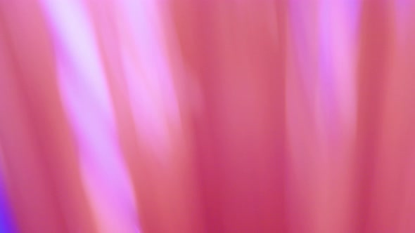 Vibrant Abstract Defocused Pink Purple Light Leak Gradient Background