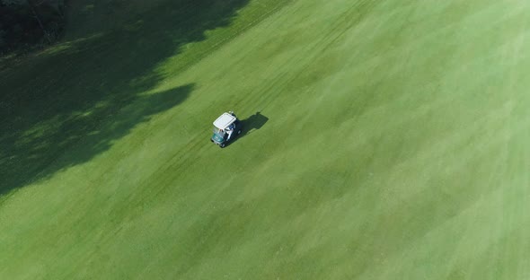 Summer Sunny Day, Aerial View of Golf Course in Forest Area, Golf Club, Electric Golf Car Rides on