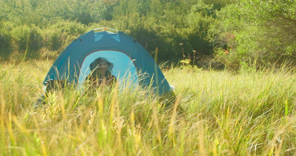 Young Woman Is Sitting in Bright Blue Camping Tent on the Green Lawn in Forest