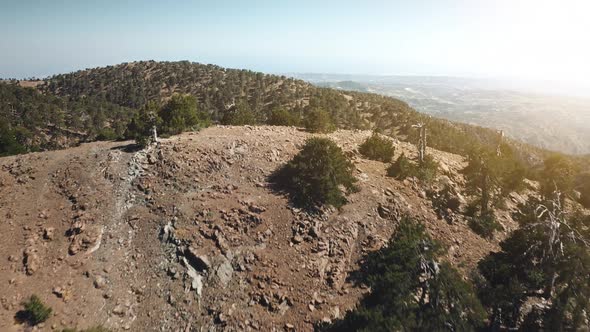 Aerial Sunset View of Green Tree Forest Mountain Highland Wild Nature Landscape in Cyprus