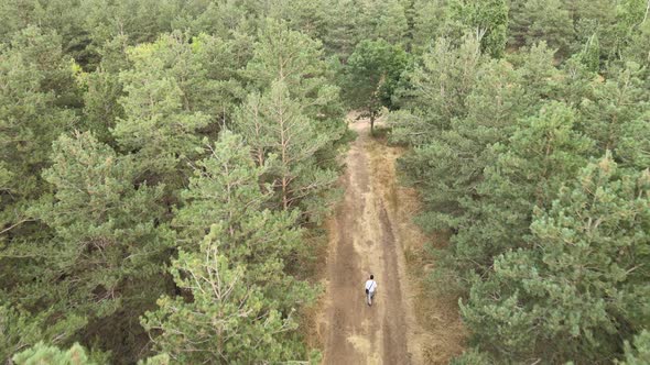 man walking on the road among the woods