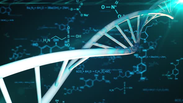 DNA Double Helix and the Chemical Formulas