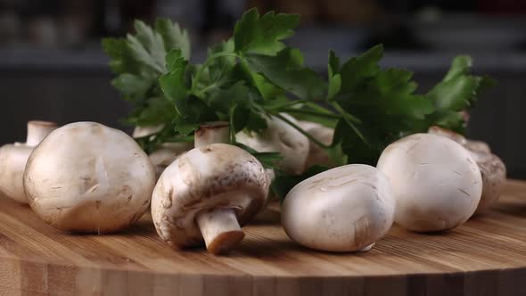 porcini champignon mushrooms and green parsley