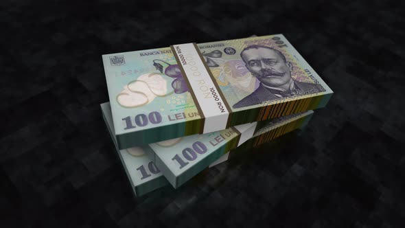 Romanian Lei money banknote pile packs