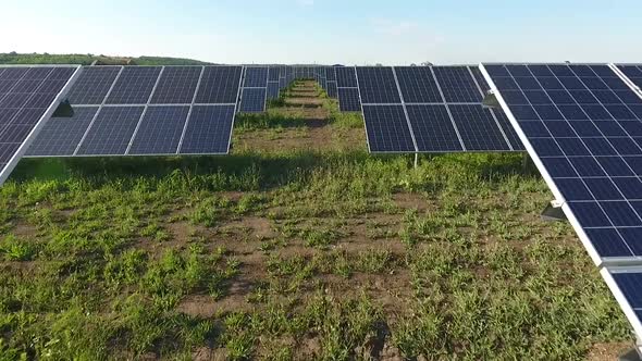 Drone is Flying in Between the Rows of Solar Panels in the Field