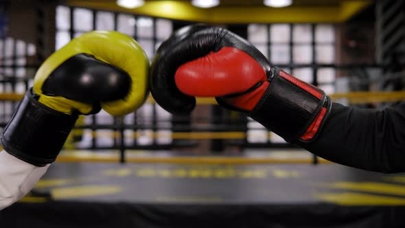 Closeup of a Businessman and a Woman in Boxing Gloves Punching Each Other