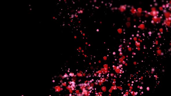 Whirlwind of Rose Petals alt