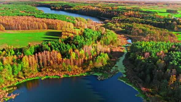 Aerial view of forest and small lake in autumn, Poland