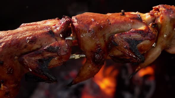 Super Closeup Panorama of Mouthwatering Grilled Quails on the Skewers