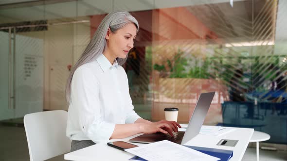 Contented Mid Age Businesswoman Agent Manager Working Typing Using Laptop