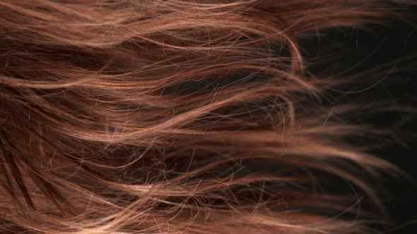 Super Slow Motion Shot of Waving Disheveled Brown Hair at 1000 Fps