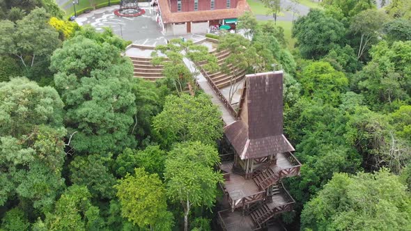 German Wood, Forest Park (Curitiba, Parana, Brazil) aerial view, drone footage