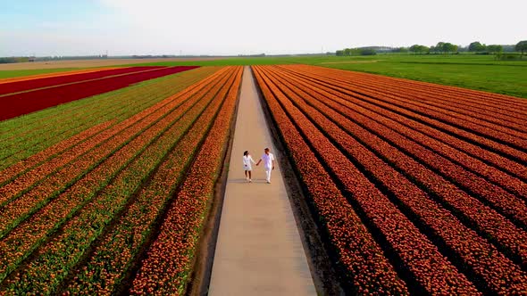 Couple Man and Woman in Flower Field Tulip Field in The Netherlands Colorful Tulip Fields in