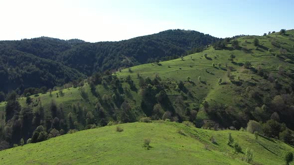 Aerial View Of Trees Meadows And Mountains In Nature