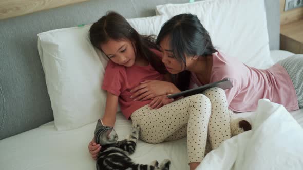 Lovely Asian mother and daughter stroking their kitten