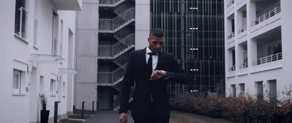 Black Business Man in a suit