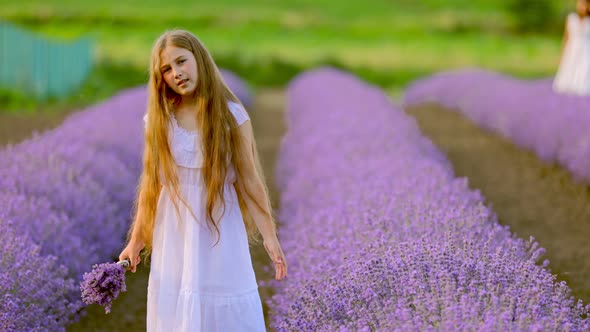 the Girl Walks Through the Lavender Field