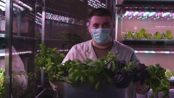 A Man Carries a Salad in a Vertical Greenhouse