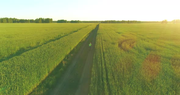 Aerial View on Young Boy That Rides a Bicycle Thru a Wheat Grass Field on the Old Rural Road