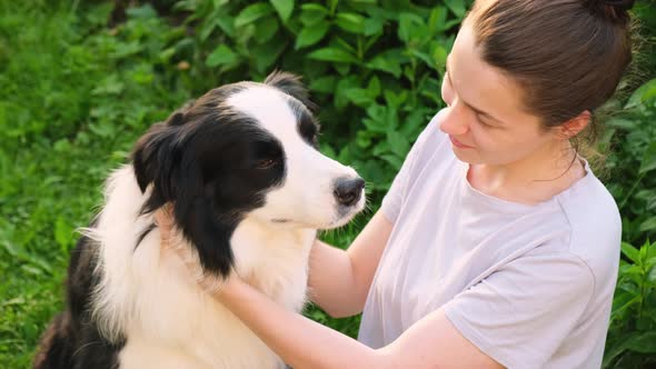 Smiling Young Attractive Woman Stroking Playing with Cute Puppy Dog Border Collie on Summer Outdoor