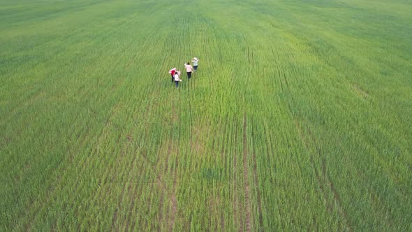 Happy Family Dancing and Running Together on a Green Field