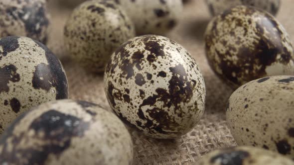 Quail eggs on sackcloth