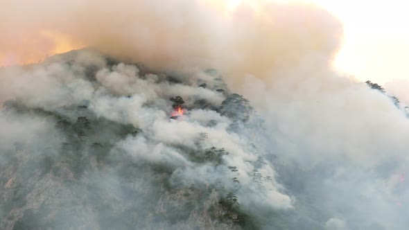 Wild Fire Over Mountain Forest Near Lake Piva in Montenegro in August of 2021