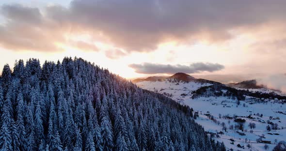 Sunset over white mountain pine forest and landscape -aerial descend