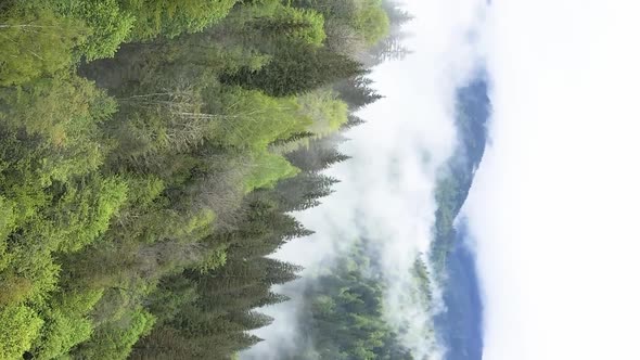 Vertical Video Carpathian Mountains