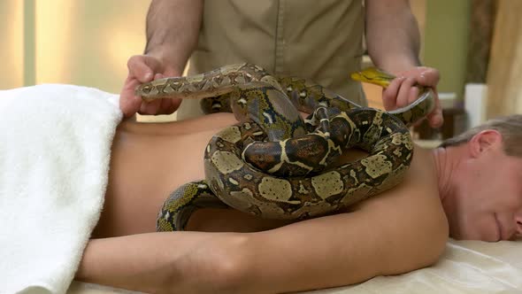 Relaxed Mature Man Receiving Snakes Massage