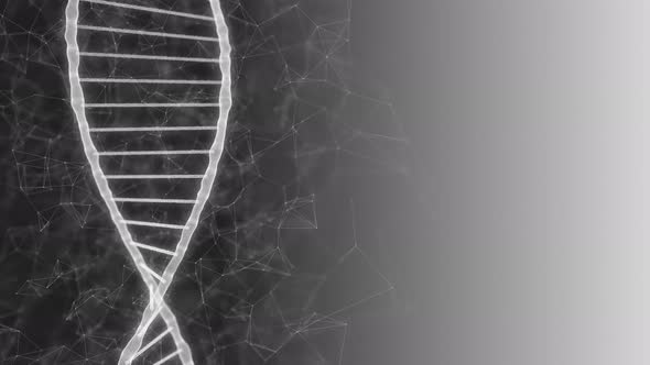 White dna strands and genetic spiral rotating on dark grey gradient background 4k