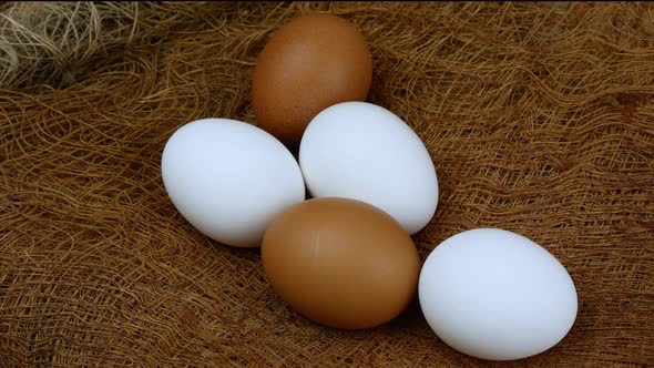 A Closeup of a Child's Hand Taking Chicken Eggs From a Roost