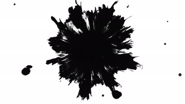 Super Slow Motion Shot of Black Ink Drop Isolated on White Background at 1000 Fps