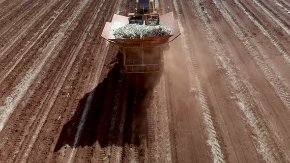 Automated tractor planting sugar cane in Brazil