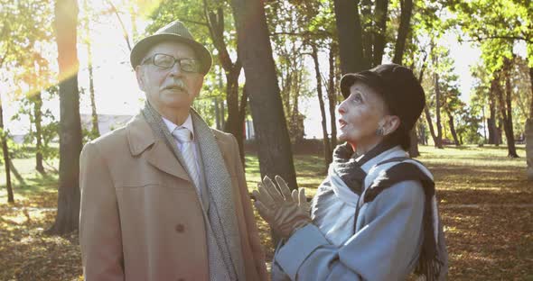 Lovely Elderly Married Couple Looks at the Sunny Sky and Talks in Autumn Park