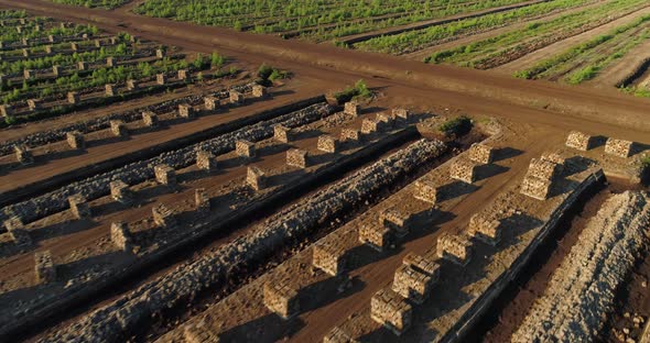 Peat Block Harvesting Field in Drained Bog Landscape Aerial View