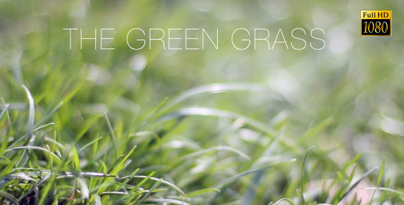 The Green Grass 9