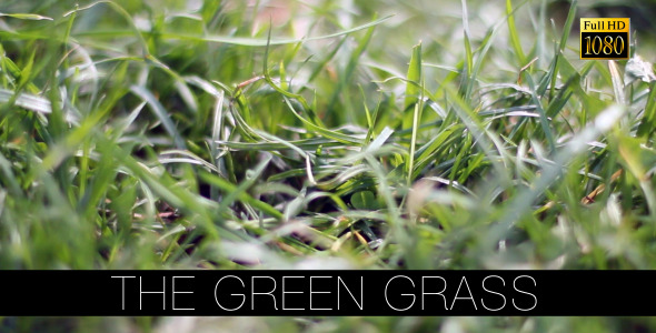 The Green Grass 10