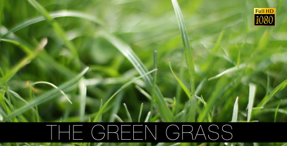 The Green Grass 11