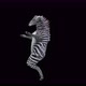 57 Zebra Dancing 4K - VideoHive Item for Sale