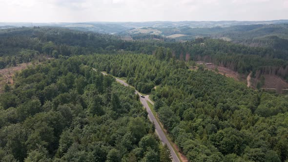 wide view drone flight on a sunny day over a road through a huge pine forest in the mountains with a